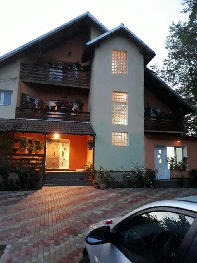 Pensiunea Valea Badilii Valea Iasului Exterior photo